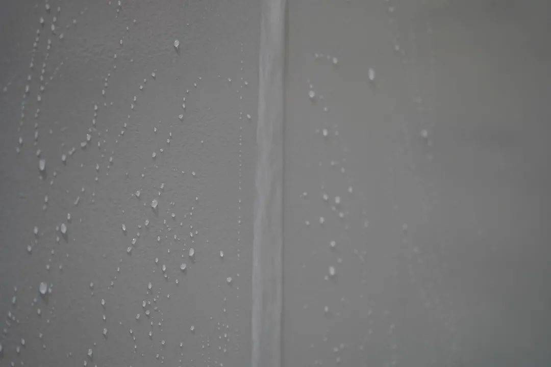 一場(chǎng)發(fā)布會(huì)，展開微水泥革命 | 2023萬磊廣佛千人行完滿成功