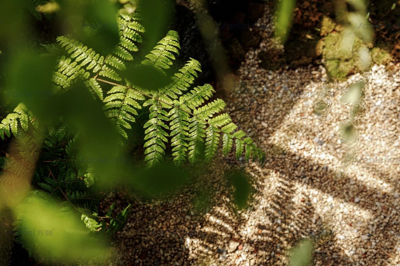 大牌聯(lián)動案例|特芮地板木美展廳由萬磊北京團(tuán)隊全案落地