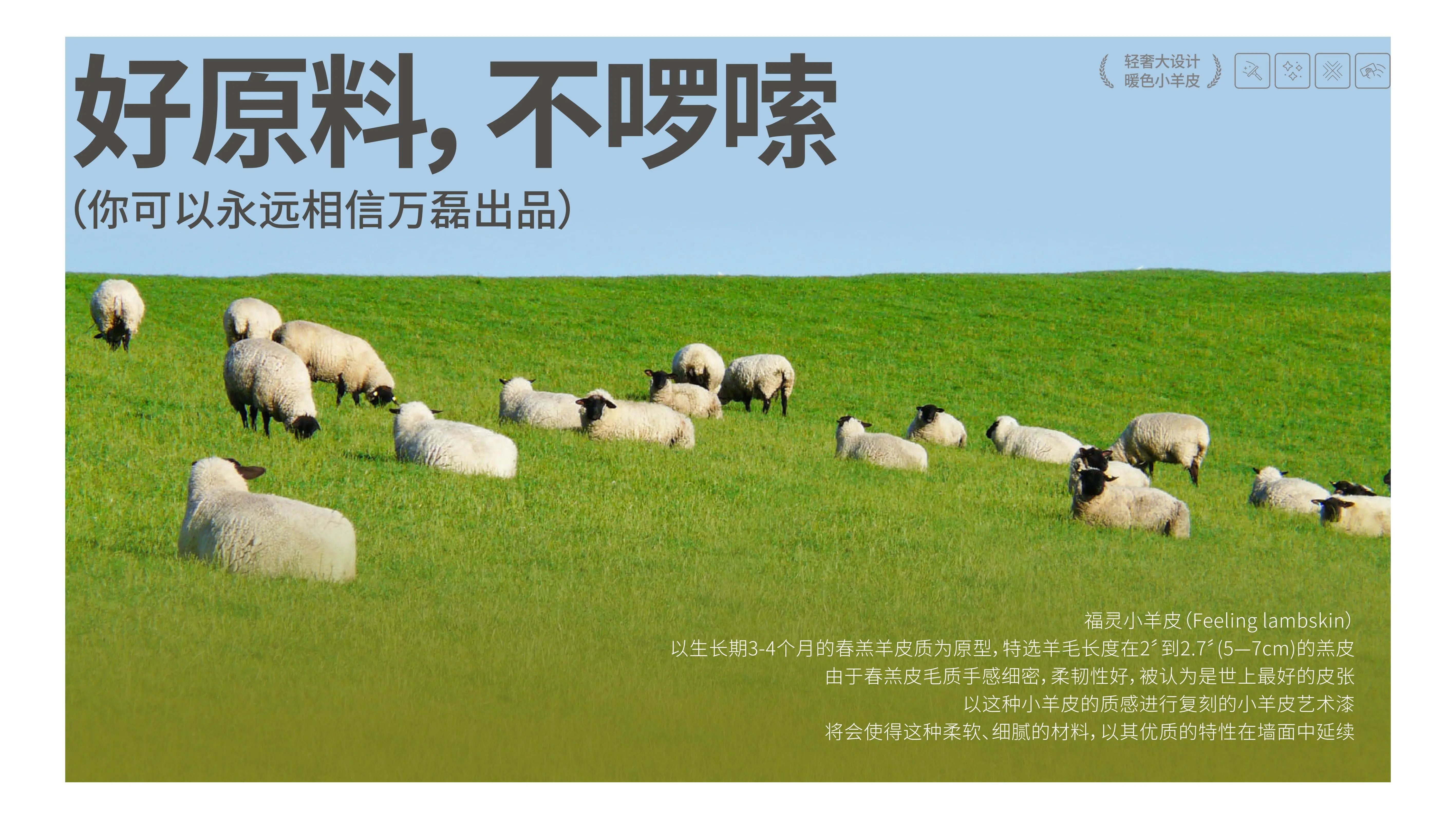 萬磊福靈小羊皮來啦！多樣的表面質感等您來解鎖~