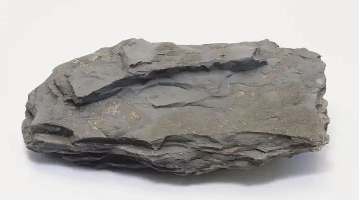 新品登場 | 頁巖石樺奴，獨(dú)家一比一復(fù)刻伯吉斯頁巖