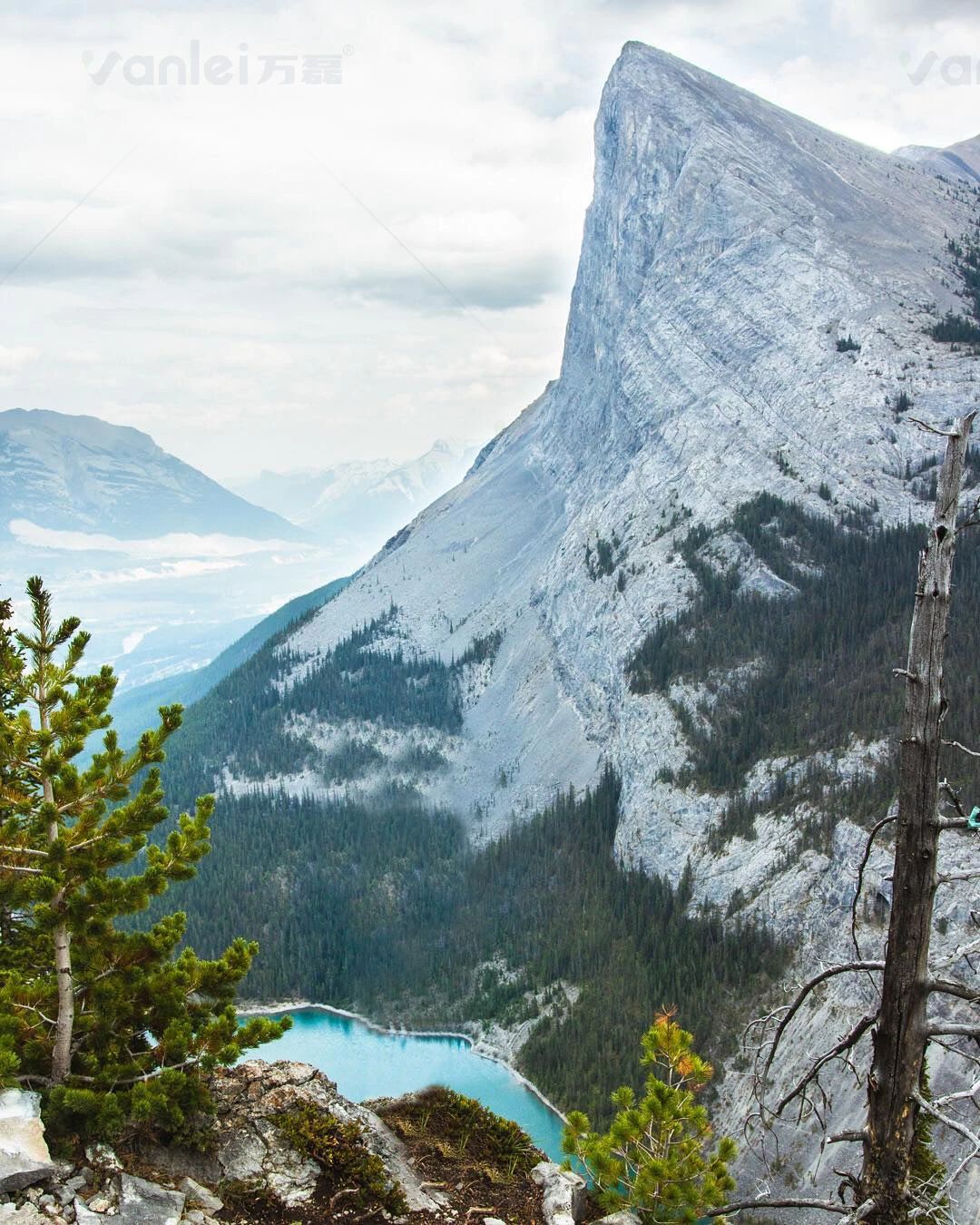 新品登場 | 頁巖石樺奴，獨(dú)家一比一復(fù)刻伯吉斯頁巖