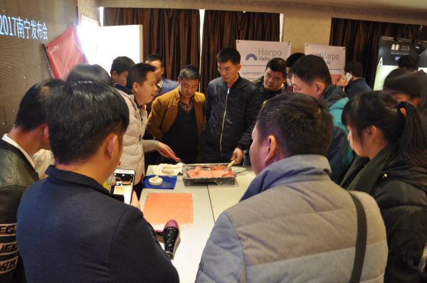 硅藻泥廠(chǎng)家